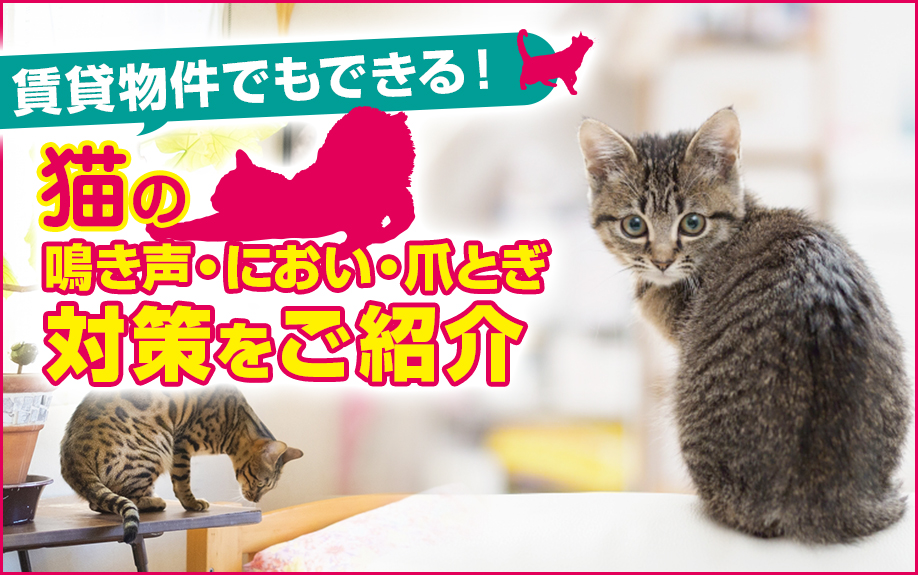 賃貸物件でもできる！猫の鳴き声・におい・爪とぎ対策をご紹介