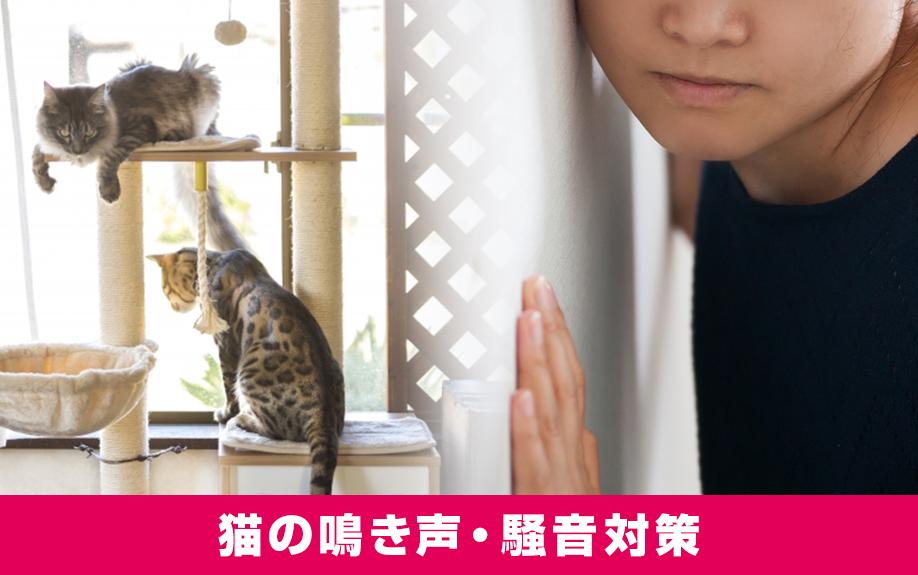 賃貸物件でもできる猫の鳴き声・騒音対策
