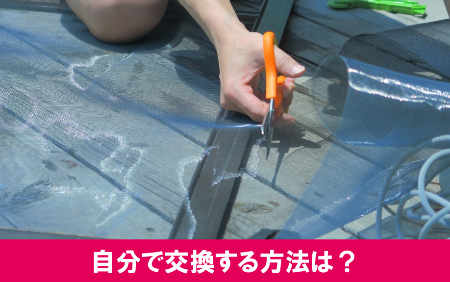 賃貸管理をより効率的に！網戸を自分で交換する方法