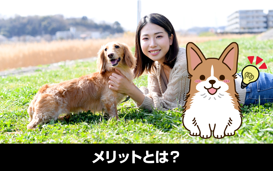 不動産投資用物件をペット可にするメリットとは?