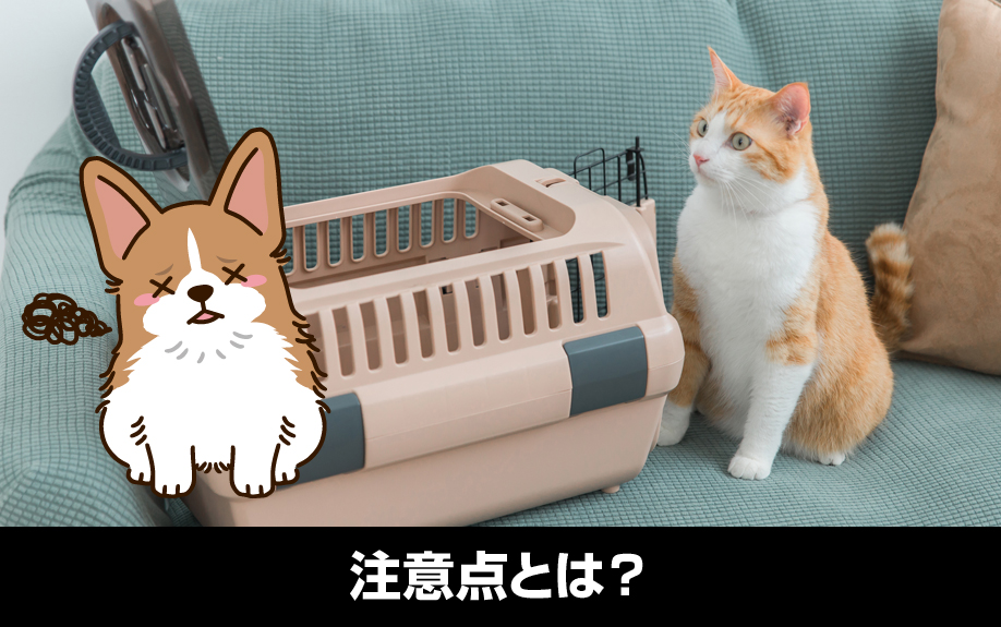 不動産投資用物件をペット可にする注意点とは?